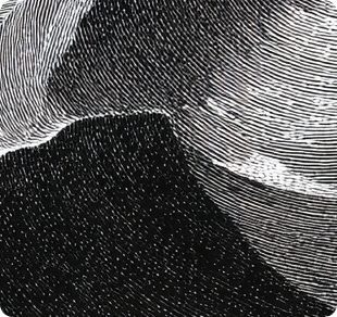 Optimizing service illustration